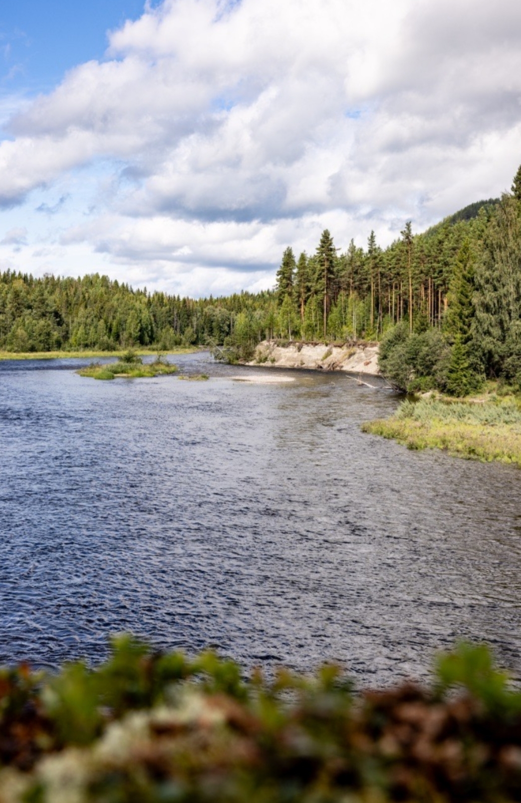 Fine campingpitches in the Jämtland