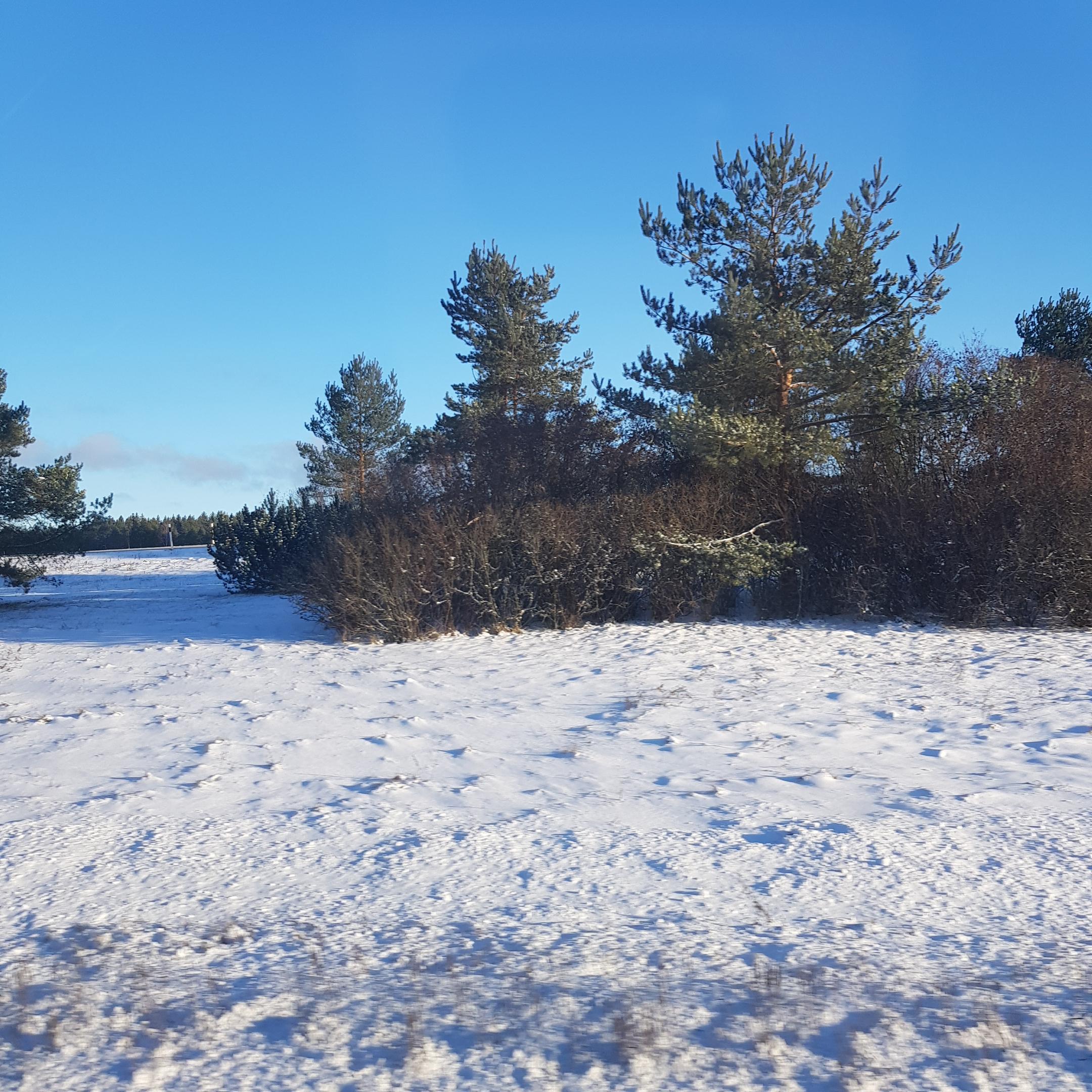 gemütliche Stellplätze campingplatz Hammarstrand  Ammerån und delta Indalsälven