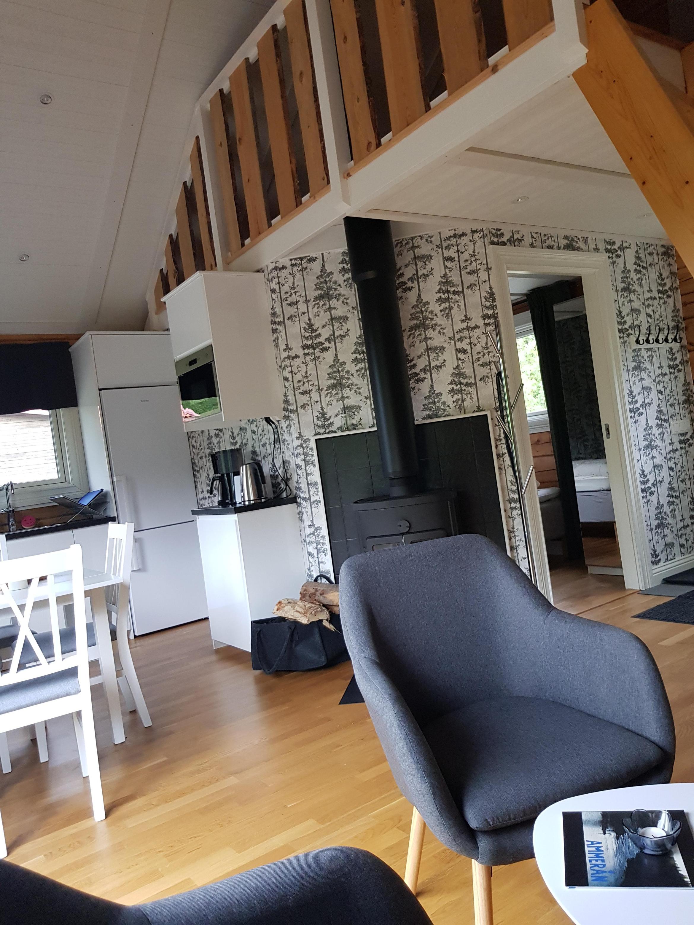 modern cottages at the campsite in Hammarstrand Ammer